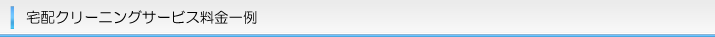 宅配クリーニングサービス料金一例